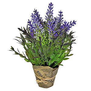 22-2954 POT WITH LAVENDER χονδρική, Houseware Items χονδρική