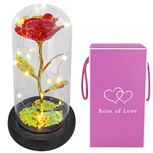 22-3004 FLOWER IN GLASS WITH LIGHT χονδρική, Valentine Items χονδρική