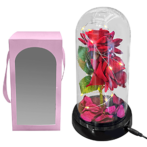 3-2350 ROSE IN GLASS WITH LIGHT χονδρική, Valentine Items χονδρική