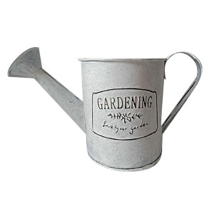 81-756 METALLIC GARDENING WATERING CAN χονδρική, Easter Items χονδρική