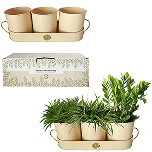 81-996 POT FOR HERBS SET OF 4 PCS χονδρική, Easter Items χονδρική