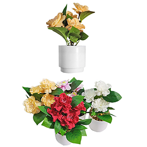 22-3018 WHITE PLASTIC POT WITH ROSES χονδρική, Houseware Items χονδρική