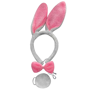 3-1673 ACCESSORIES BUNNY SET=3PCS χονδρική, Carnival Items χονδρική