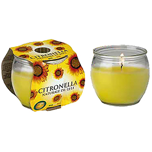 37-442 CITRONELLA CANDLE IN A VASE χονδρική, Summer Items χονδρική