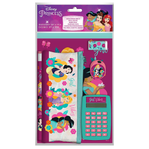 50-3074 SCHOOL SET WITH PRINCESS COMPUTER χονδρική, School Items χονδρική