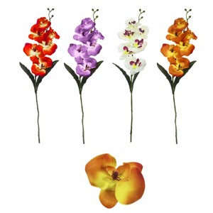 73-777 ORCHIDS BRANCH χονδρική, Houseware Items χονδρική